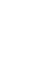 Digital Spark Inc.